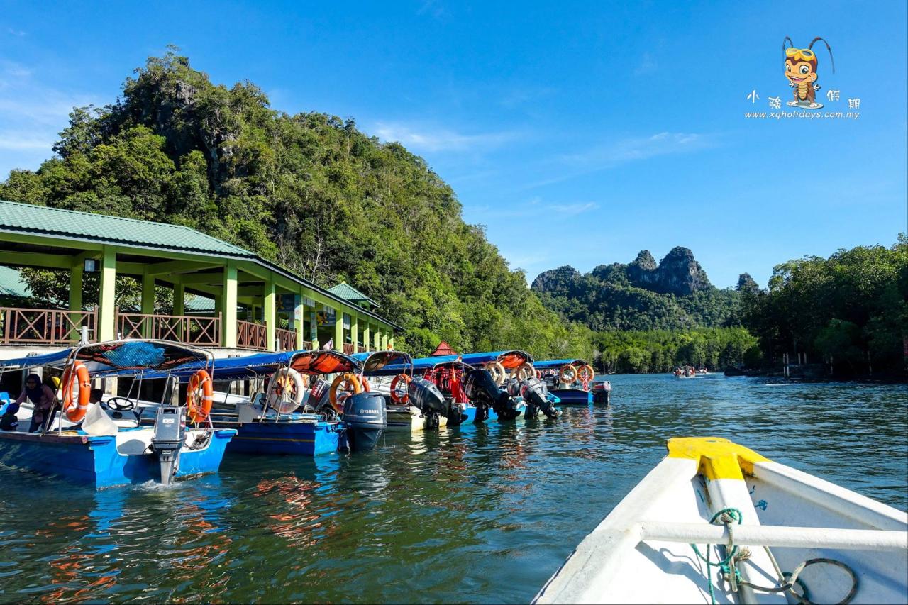 Jelajahi Mangrove Langkawi: Ekowisata yang Menakjubkan